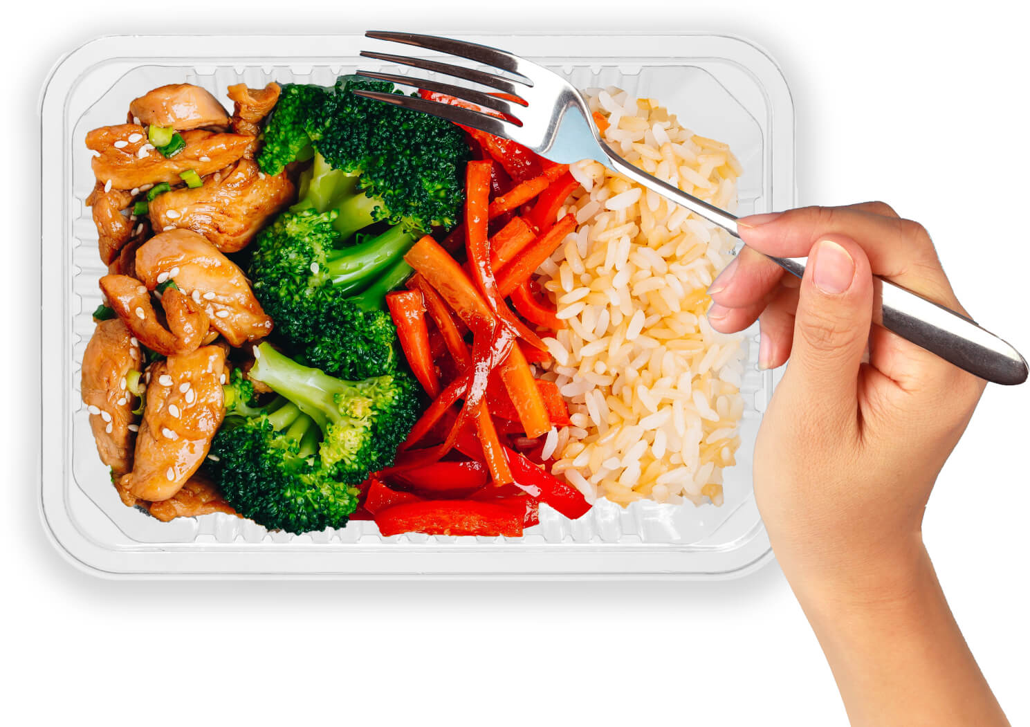 Frozen Meals Home